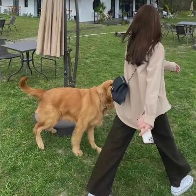 毒夫